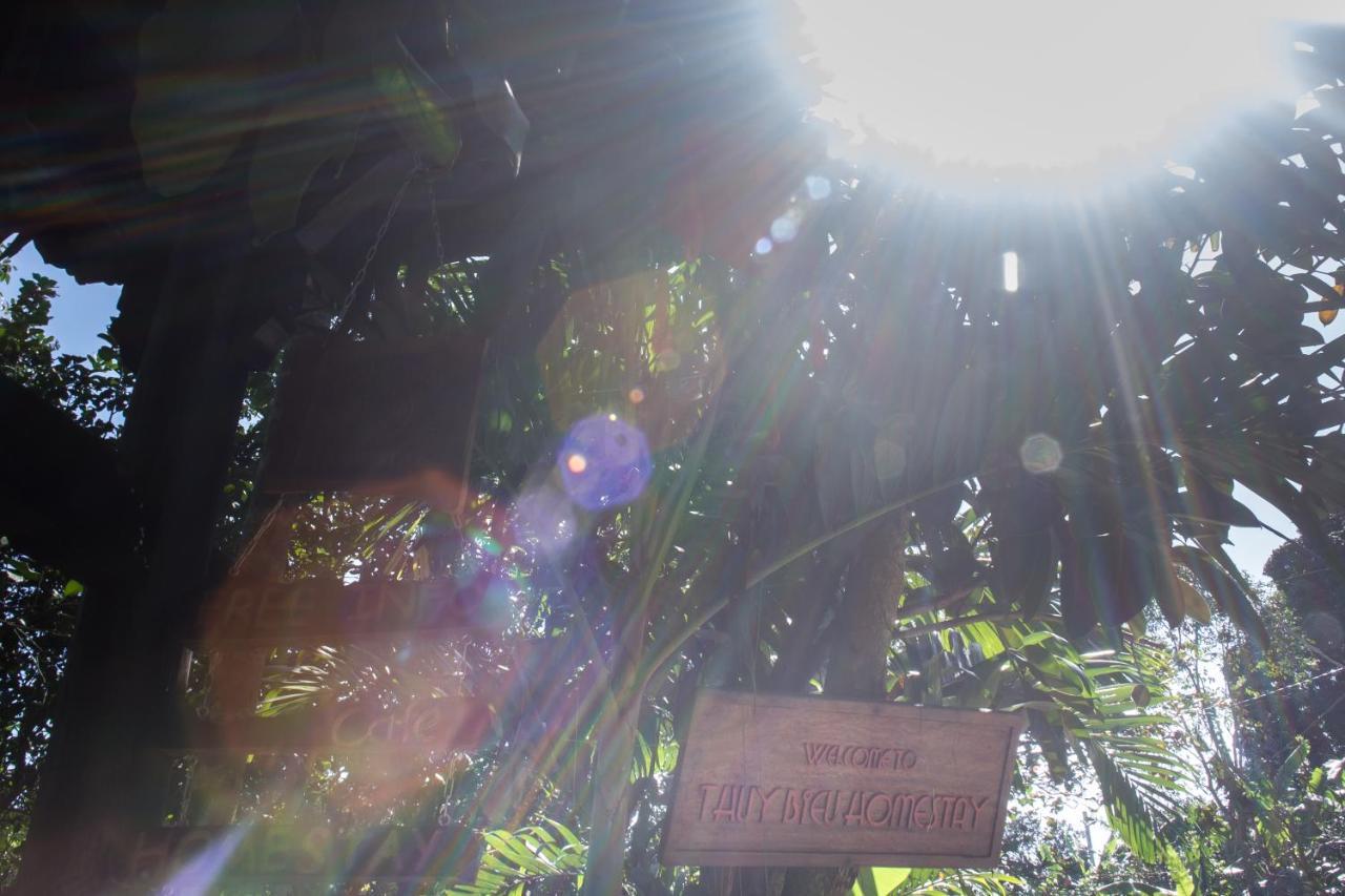 Thuy Bieu Homestay Hue Quarto foto